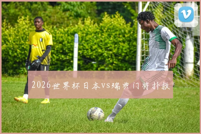 2026世界杯日本vs瑞典门将扑救